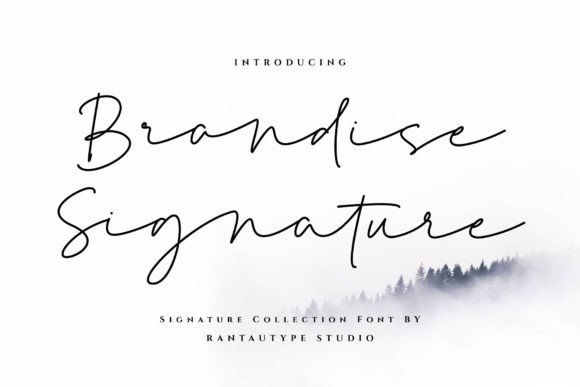 Brandise Signature: A Designer’s Real-World Review