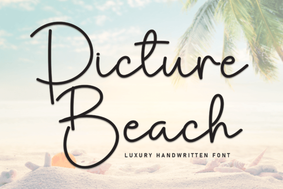 Picture Beach: A Stylish Script Font for Polished Branding